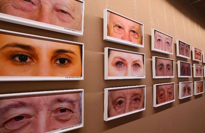 העיניים של המדינה. צילום: מאיר אליפור ויהודית הרפז