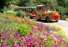 הגן הבוטני בירושלים