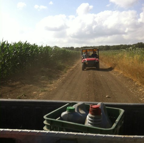 רווה אתגרים - ריינג'רים בשטח.