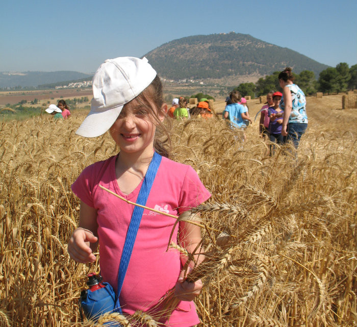 פעילות שבועות לילדים 20230 במוזיאון עין דור.