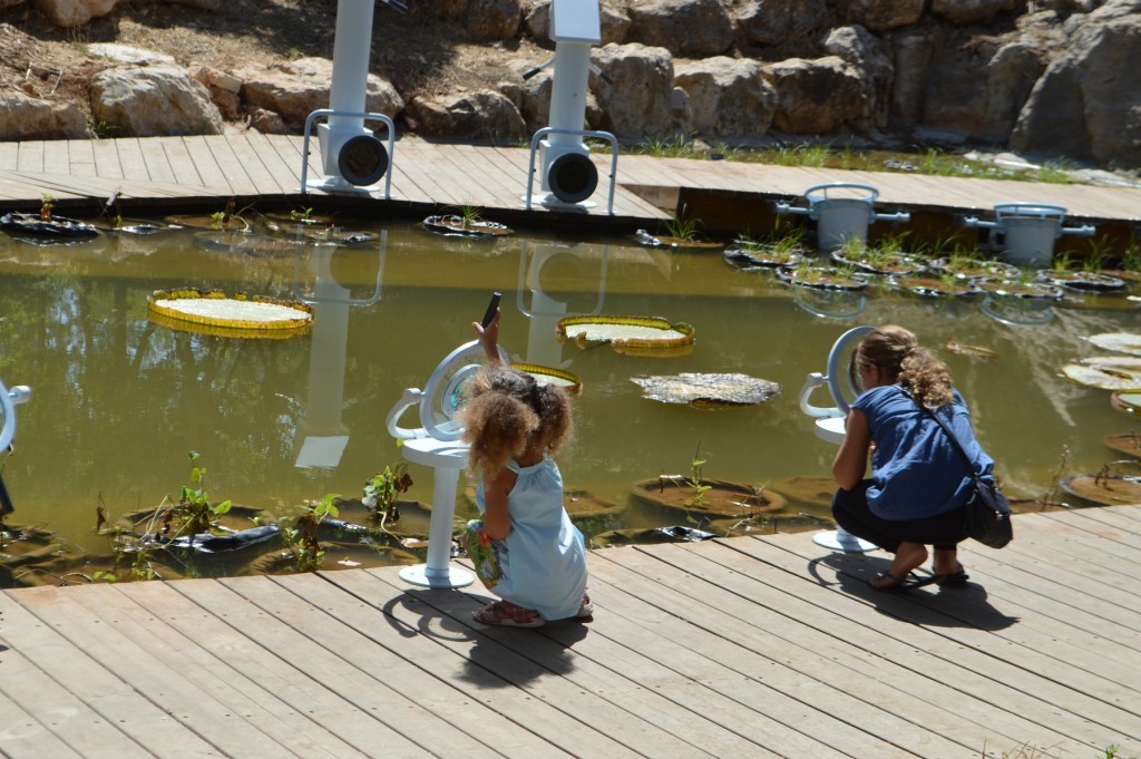 צילום: הגן הבוטני