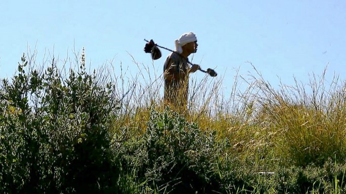 סיור מבוגרים זה קורה במשפחות הכי טובות. צילום: שחר ששון