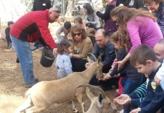 פינות ליטוף ופינות חי בלגעת בטבע בכפר הירוק