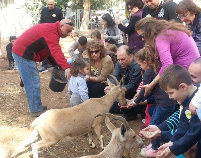 אטרקציה לילדים בבחירות, פינות ליטוף ופינות חי, בטבע בכפר הירוק