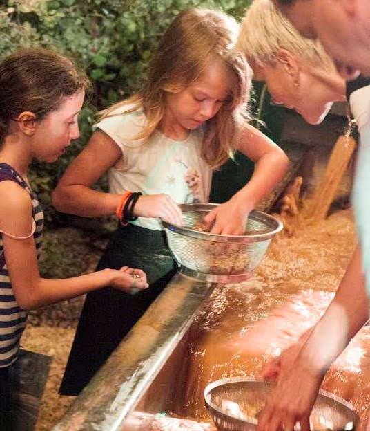 לילה מהאגדות בגן הבוטני. צילום: רפי דלויה