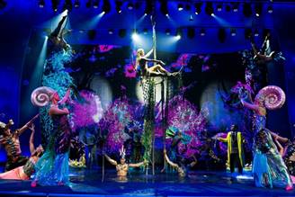 wow spalsh ישרוטל אילת