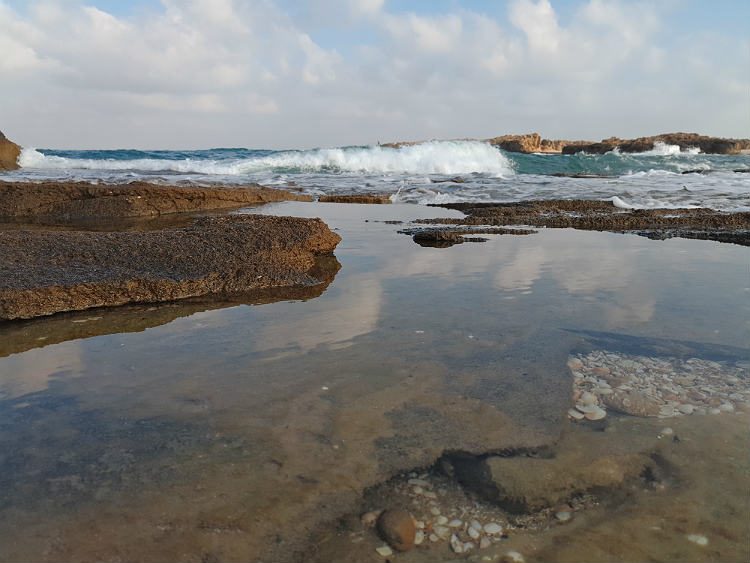 חוף נחשולים