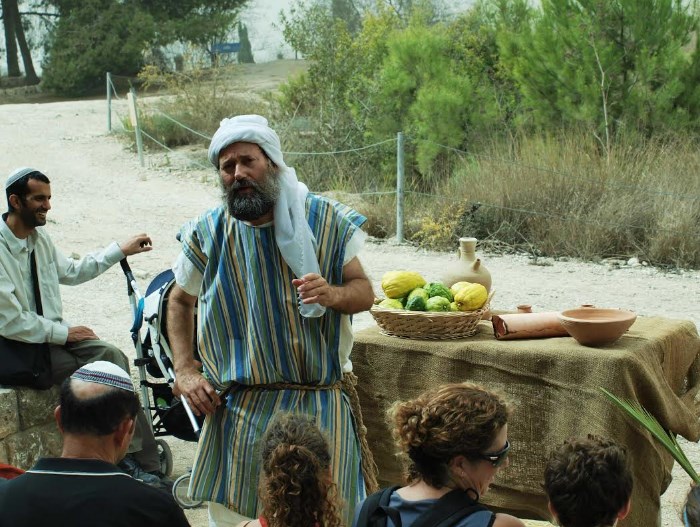 חווית משנה בציפורי. נעמה גולד