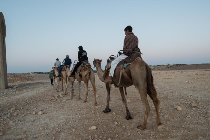 טיול גמלים עם בן המדבר – צילום: נורית עגור