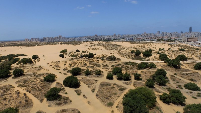 חולות אשדוד. צילום – דב גרינבלט, החברה להגנת הטבע.