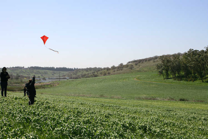 פסטיבל ירוק ולא רחוק שפלת יהודה