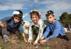 tubishvat