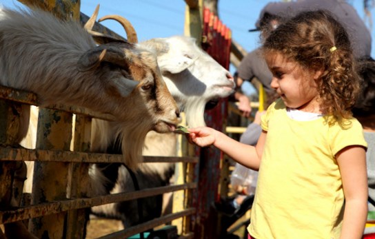 ט"ו בשבט בחווה בתל אביב