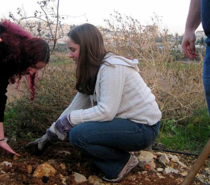 טו בשבט, נטיעות בירושלים