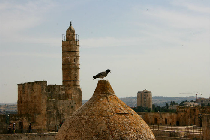 TOWEROFDAVID, אטרקציות לילדים בירושלים, מגדל דוד