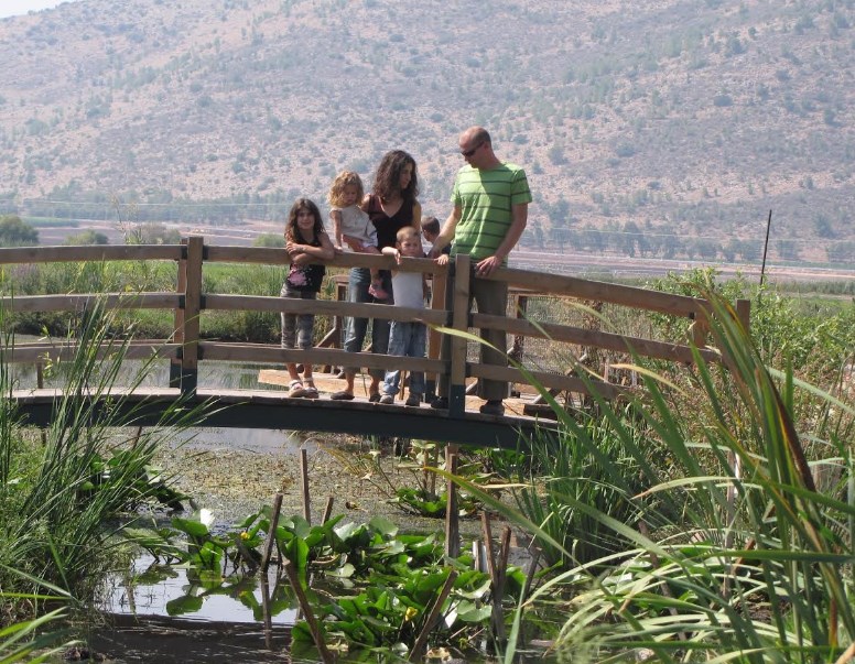 אגמון החולה משפחה- ארכיון הצילומים של קקל