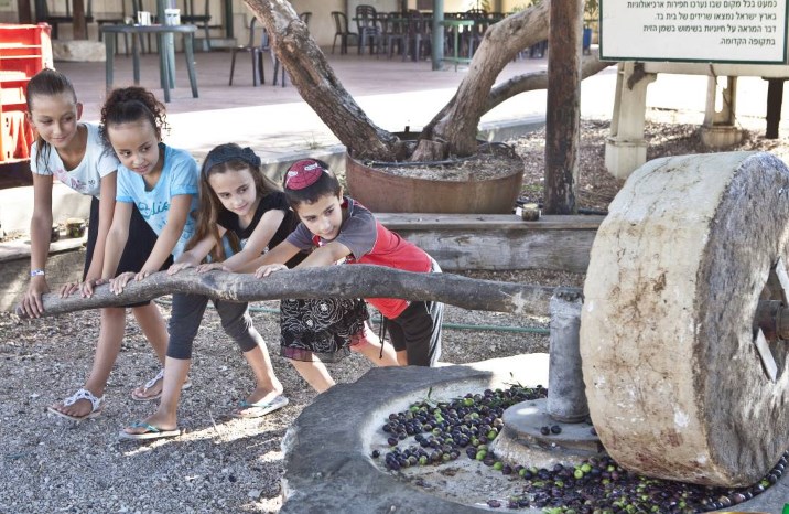 צילום: מרכז המבקרים כד בני דרום