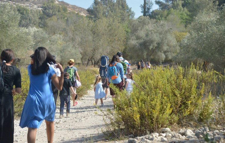 פארק קנדה. צילום: יוסי זליגר