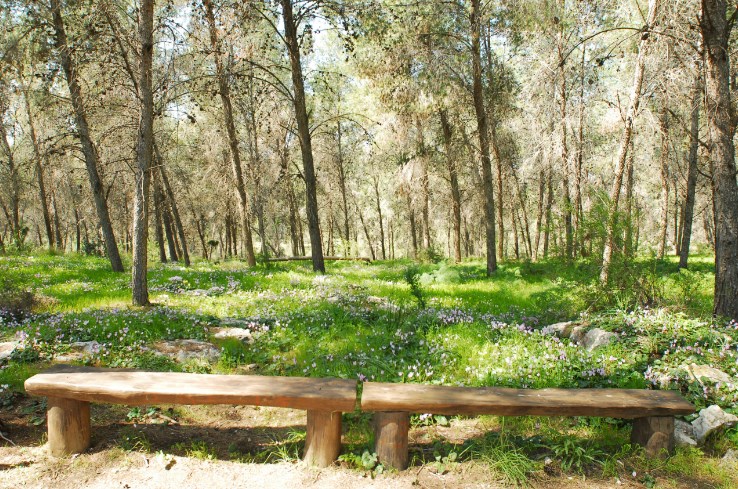 שחריה. פינת ישיבה. צילום: יעקב שקולניק