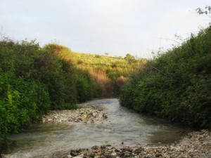 צילום: קק"ל