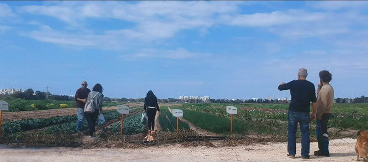 לגעת בטבע סיור חקלאי בכפר הירוק