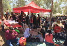 סדנאות בטבע דרום אדום