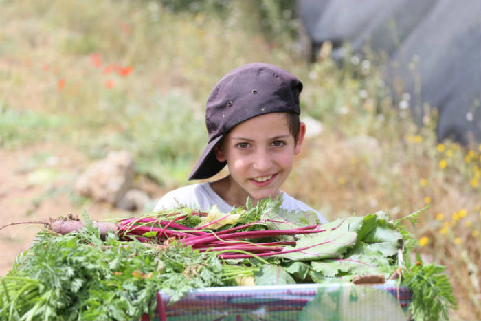 משתלת הראה