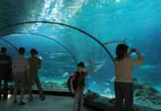 aquarium