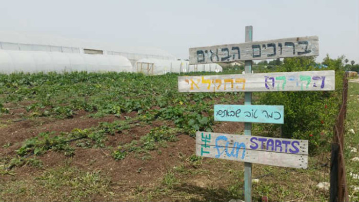 הגינה האורגנית בקרקס החקלאי