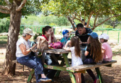 picnik mearat keshet