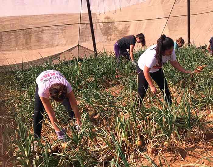 חוות בין השיטין בערבה התיכונה, אטרקציות לילדים בערבה