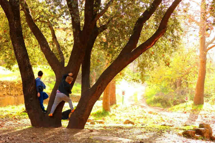 טיול לשבת עם הילדים