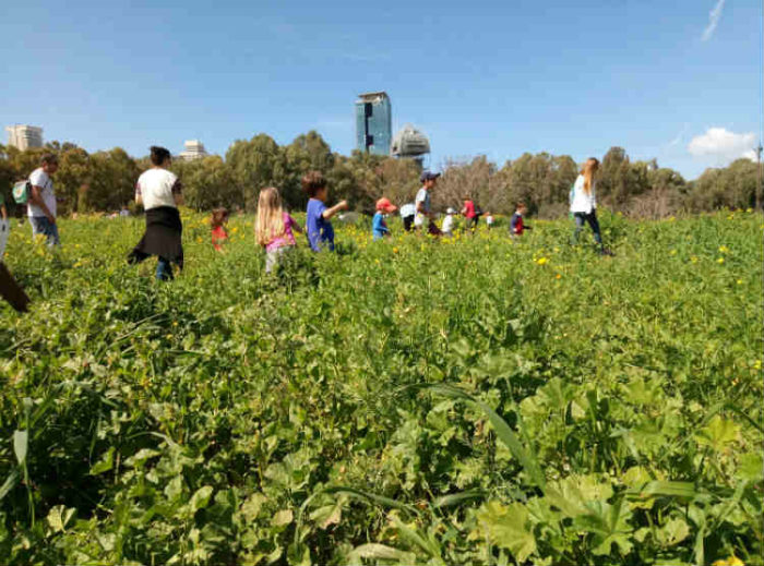 אטרקציה לילדים בשבת בתל אביב