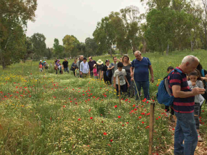 סיור פריחה בתל אביב