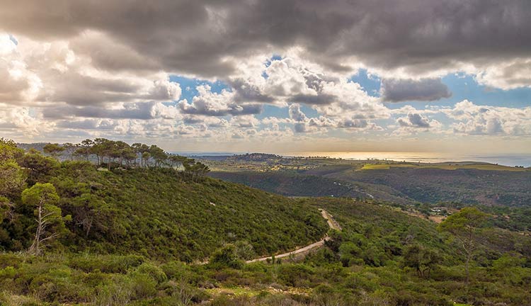 מה עושים בשבת עם הילדים? חי בר כרמל