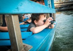 שקיעה וחיות2 (7)