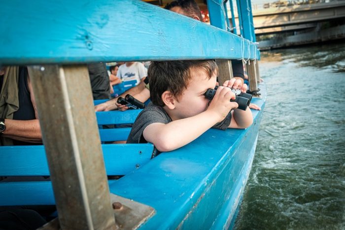 שקיעה וחיות2 (7) פעילות מהנה לילדים בגני יהושע