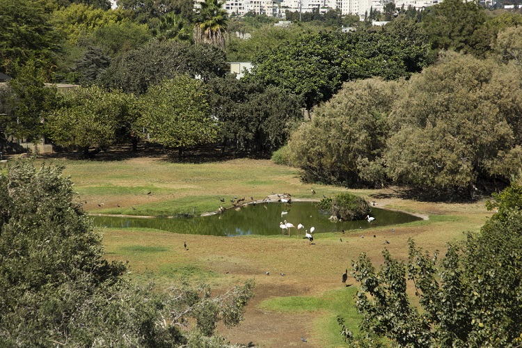ניתן לסייר באופן חופשי גם במתחם הזואולוגי