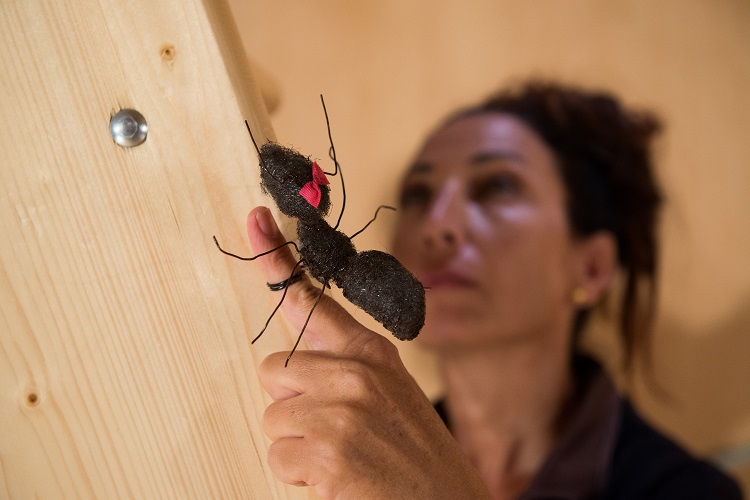 הצגות וסדנאות לילדים במוזיאון הטבע, אוני' ת"א