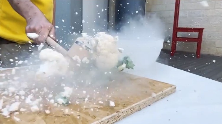 ניסויי בבית ניסויים מדעיים