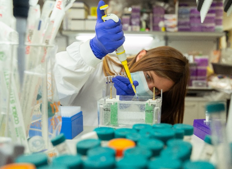 ליל המדענים והמדעניות 2020 מעבדה לילדים