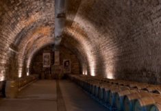 מרכז המבקרים של יקבי כרמל קרדיט צילום דני דין כרמל (3)