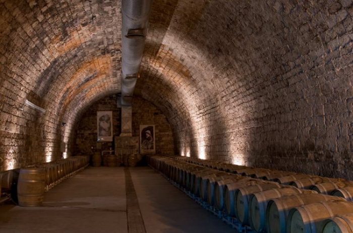 מרכז המבקרים יקבי כרמל