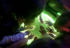 הצגות ומופעים לילדים והורים