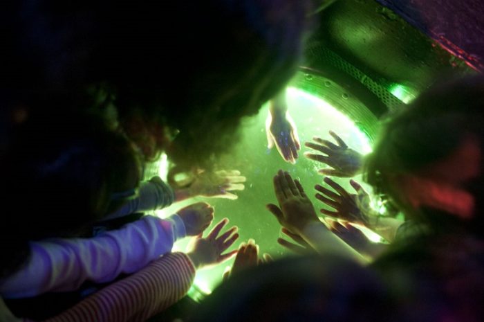 פסטיבל תרבות מונגשת