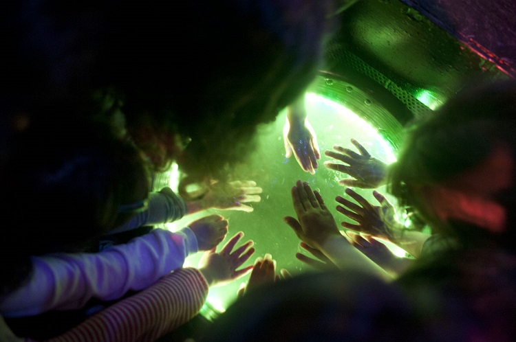 הצגות ומופעים לילדים והורים