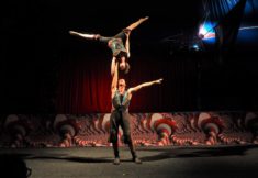 קרקס נו פרובלם בפסטיבל עכו ה-40 לתיאטרון אחר