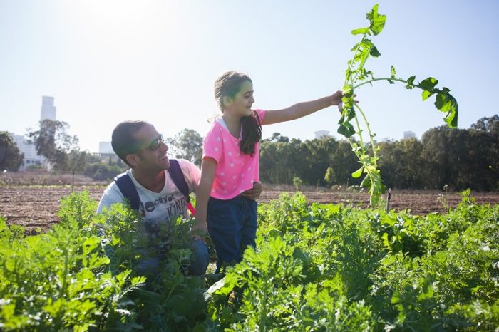 קטיף לילדים במרכז