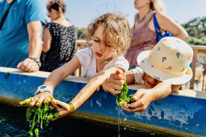 פעילות חנוכה למשפחות