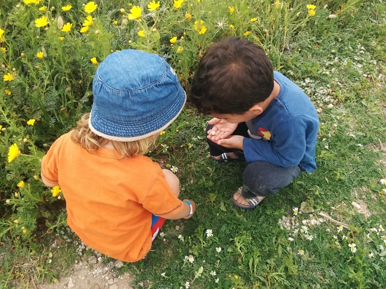 טיול ליקוט כרמלים